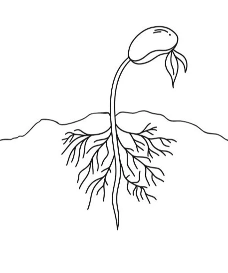 Le germe du changement